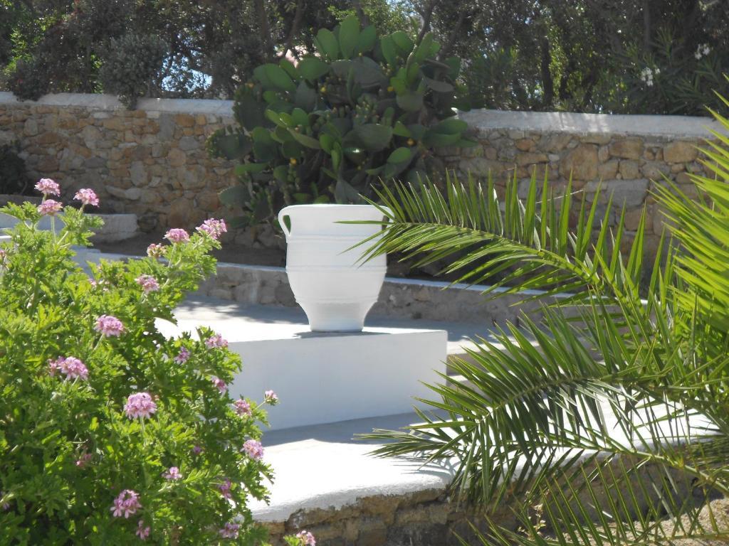 Casa Bianca